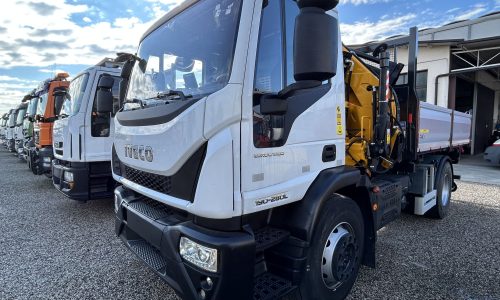 Prezzo Ribaltabile con Gru Usato